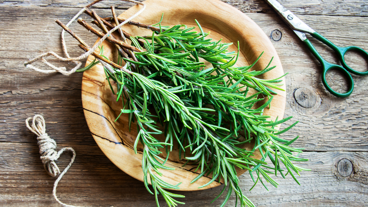 5 Vital Rosemary Essential Oil Benefits that will Transform Your Wellness Routine