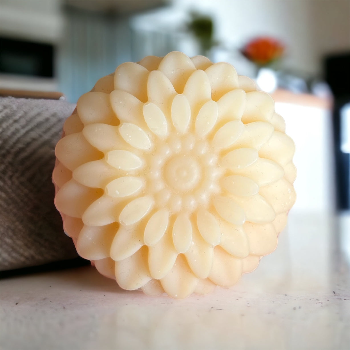 Green Forest Solid Dish Soap